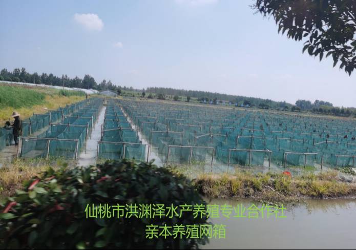 j9·九游会游戏中国官方网站-真人游戏合营品牌