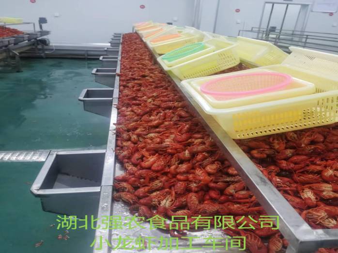 j9·九游会游戏中国官方网站-真人游戏合营品牌